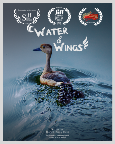Water and wing poster Ducks